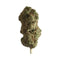Cannablubble CBD - Indoor - Hydro | DYNAMITE CBD