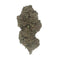 Critical+2.0 CBD - Indoor-Hydro | DYNAMITE CBD