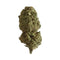 Ghost US CBD - Indoor - Hydro - DYNAMITE CBD