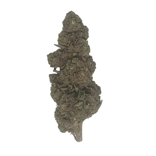 Bubba Kush CBD - Glass-House - DYNAMITE CBD