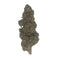 Bubba Kush CBD - Glass-House - DYNAMITE CBD