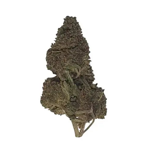 Fleur de CBN Bubba Kush 30% | Variété premium pour relaxation et bien-être | Arômes boisés et sucrés | Qualité testée en laboratoire ✔️ | DYNAMITE CBD