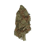 Lemon Skunk CBD – Indoor-Hydro - Vignette | DYNAMITE CBD