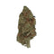 Lemon Skunk CBD - Indoor-Hydro-DYNAMITE CBD
