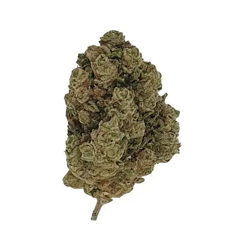 Orange Sherbet CBD - Indoor-Hydro Le Grossiste du CBD