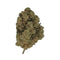 Orange Sherbet CBD - Indoor-Hydro Le Grossiste du CBD