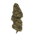 Super Lemon Haze CBD - Glass-House - Vignette | DYNAMITE CBD