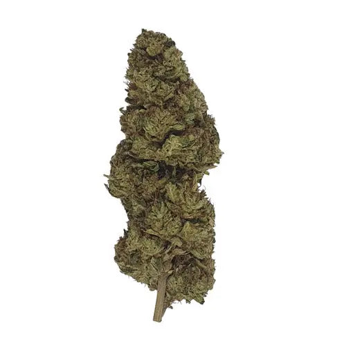 Super Lemon CBD - Glass-House | DYNAMITE CBD