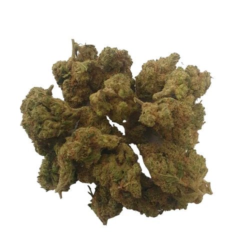 Blackberry Kush CBD - Medium Bud - Hydro - DYNAMITE CBD