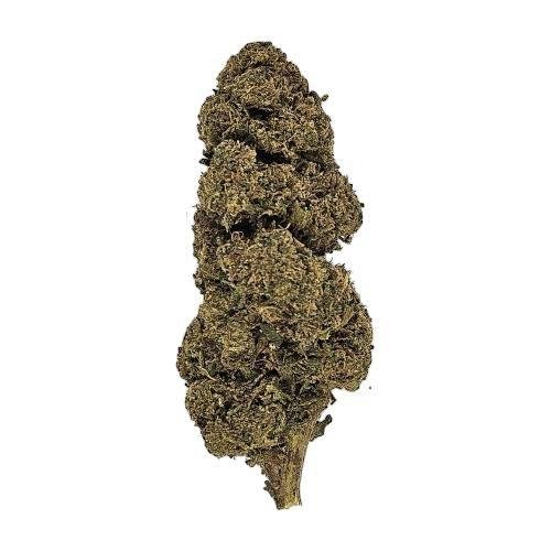 Candy Kush CBD - Big Bud - Indoor - DYNAMITE CBD