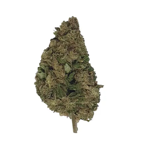 Mango Kush CBD - Indoor | DYNAMITE CBD