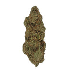 Jedi Gelato CBD - Indoor-Hydro - Vignette | DYNAMITE CBD