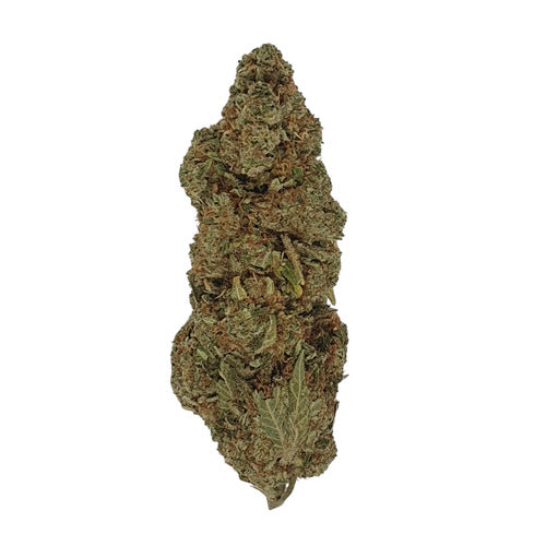 Jedi Gelato CBD - Indoor-Hydro - DYNAMITE CBD
