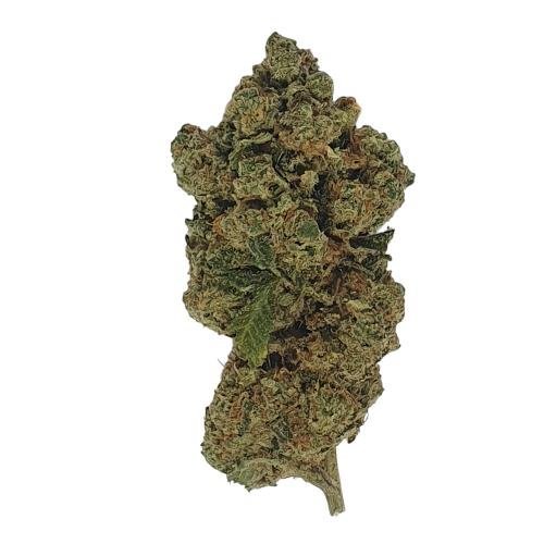 Fleur CBD Amnesia US - Indoor-Hydro - DYNAMITE CBD